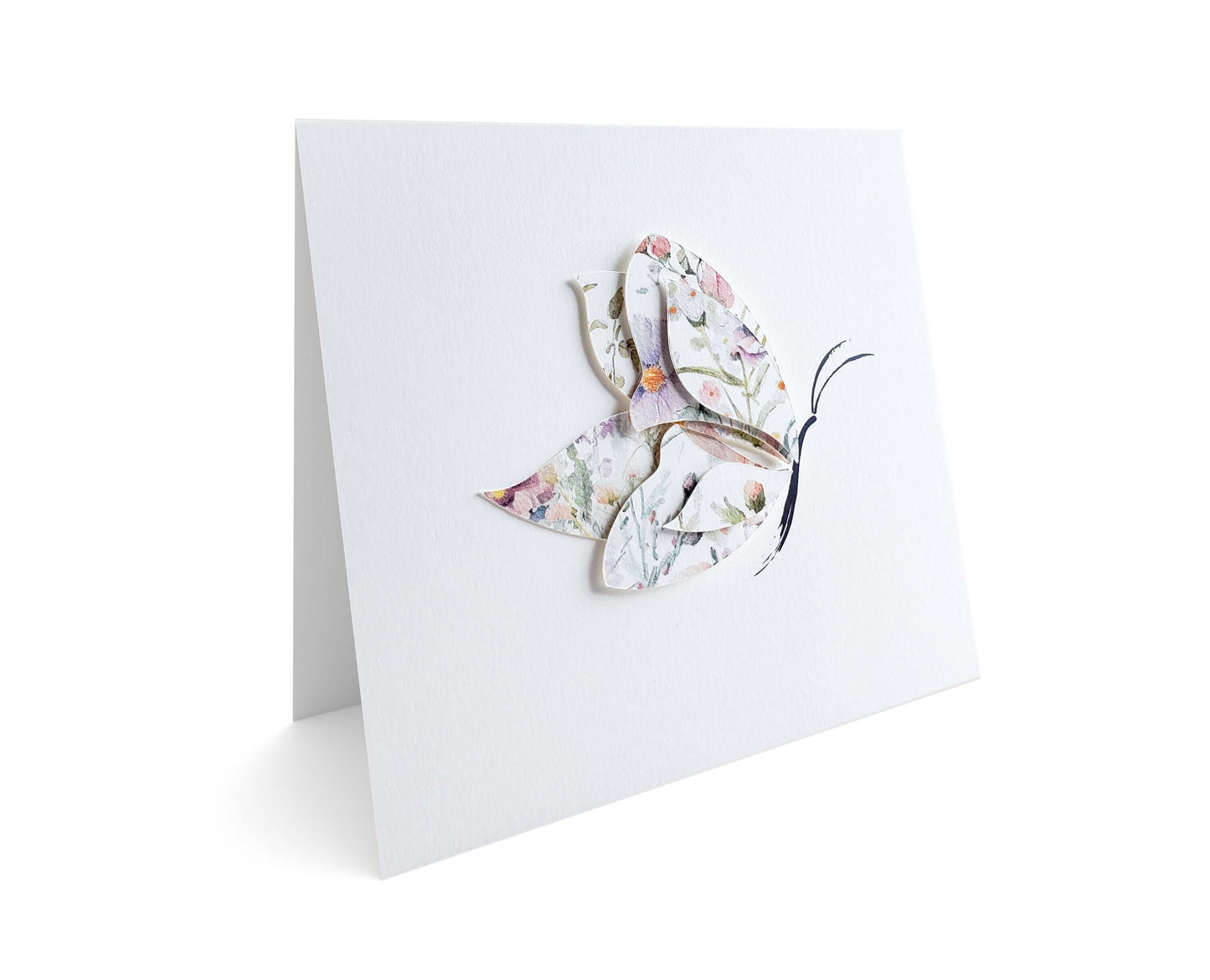 Dimensional Butterfly
